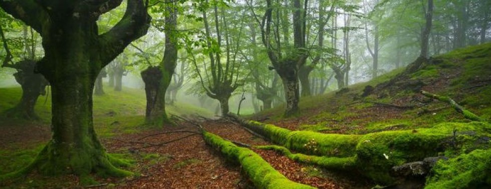 The Green, Natural Basque Country